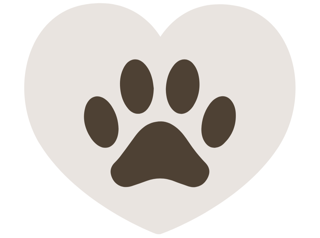 pawandmind boutique accessoires animaux chien chat