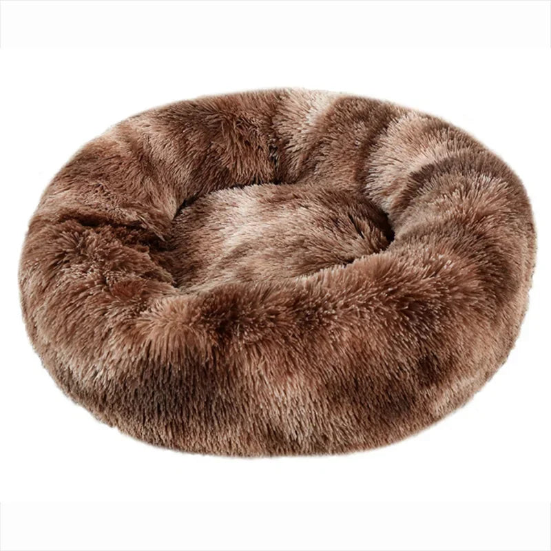 chien chat coussin panier doux apaisant pawandmind