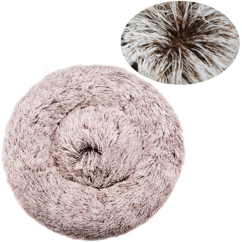 chien chat coussin doux apaisant pawandmind